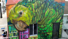 Santa Ana Mural : Parrots